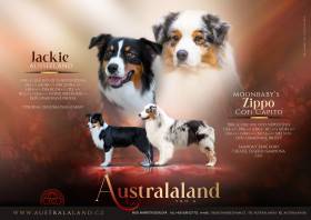 Letáček vrhu A Australaland