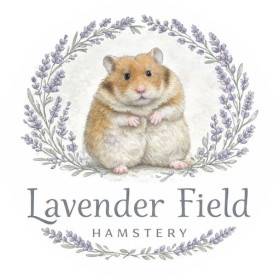 Lavender Field Hamstery