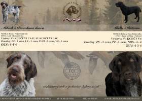 Od Jevanského rybníka