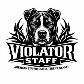 Violator Staff