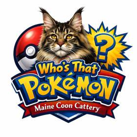 Who´s That Pokémon ?