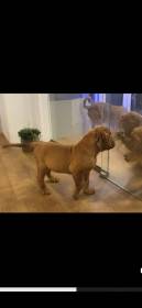 Bordó z Hostýnských vrchů