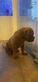 Bordó z Hostýnských vrchů