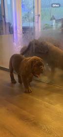 Bordó z Hostýnských vrchů