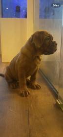 Bordó z Hostýnských vrchů