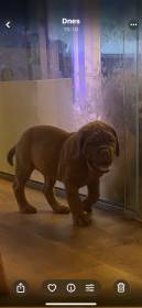 Bordó z Hostýnských vrchů