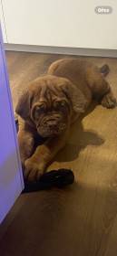 Bordó z Hostýnských vrchů