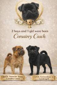Corsairey Casch