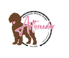 Artbreeder