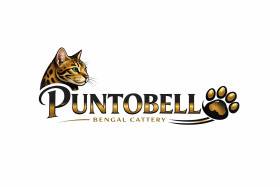 Puntobello, cz