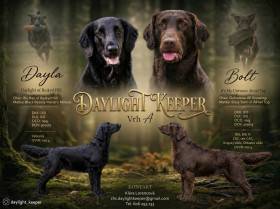 Daylight Keeper