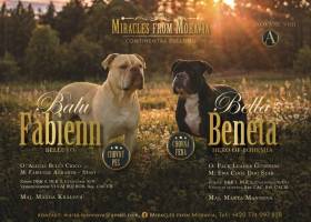 Miracles from Moravia