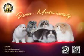 Remu-Martin