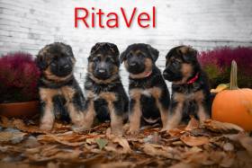 RitaVel