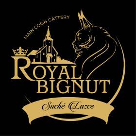 Royal BigNut cz