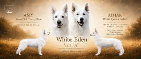 From White Eden