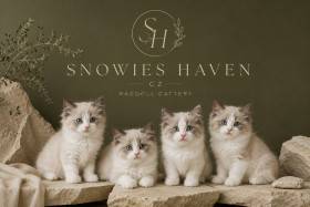 Snowie’s Haven