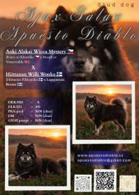 Apuesto Diablo