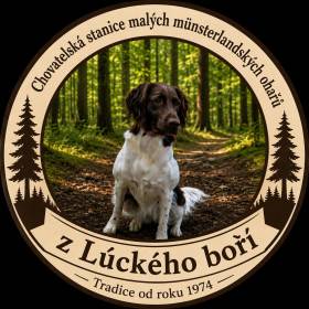 Z Lúckého boří