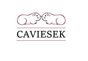 Caviesek