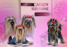 Cassidy Susanne