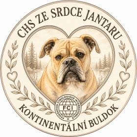 Ze Srdce jantaru