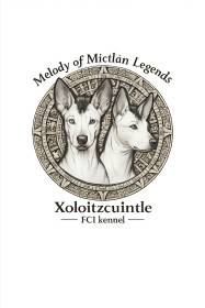 Melody of Mictlān Legends