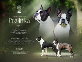Pralinka