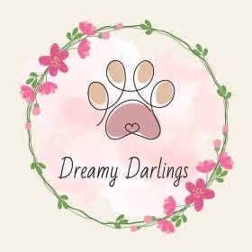 Dreamy Darlings