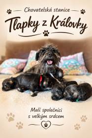 Tlapky z Královky