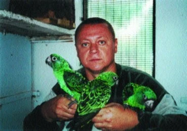 Papoušek konžský