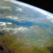Cichlidy z jezer Malawi a Tanganika