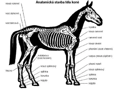 Westernová výstroj: Ochranné pomůcky