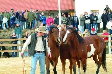 Ty Bláho! aneb Honza se vrací