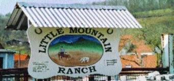 Na návštěvě u Uwe Niedostatka jezdce a trenéra cuttingových koní