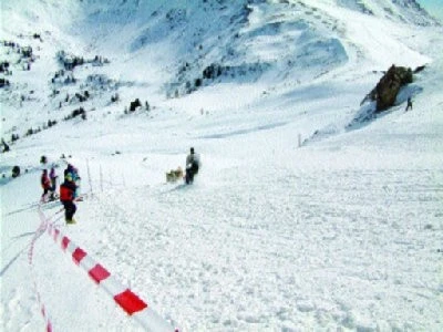 Volání divočiny: Kapitola XII. – Volání dálek – 3. Část