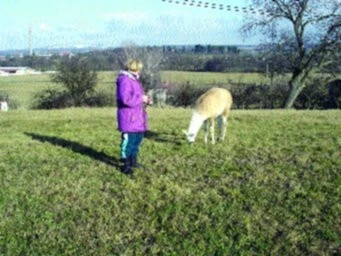Lama (4. část)