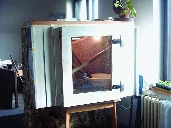 Stavba terária pro agamu kočičinskou