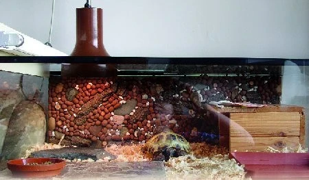 Začínáme s chovem želv - 3. část