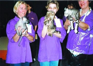 Málo známá plemena koček