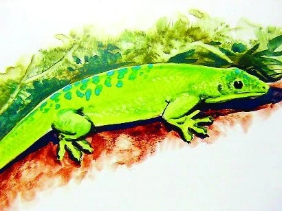 Nejenom blboun nejapný …