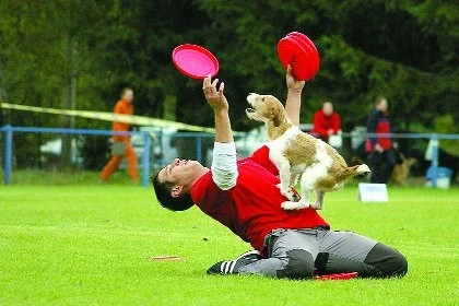 Dogfrisbee