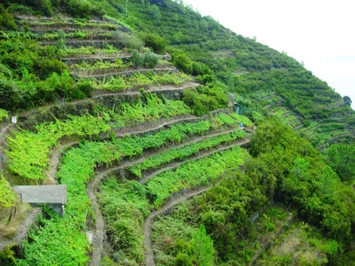 Cinque Terre – perla Ligurie část 1.