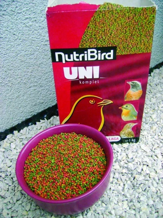 Krmení leskoptví v zimním období