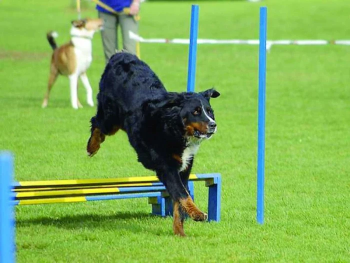 „Berňák“ sportovec
