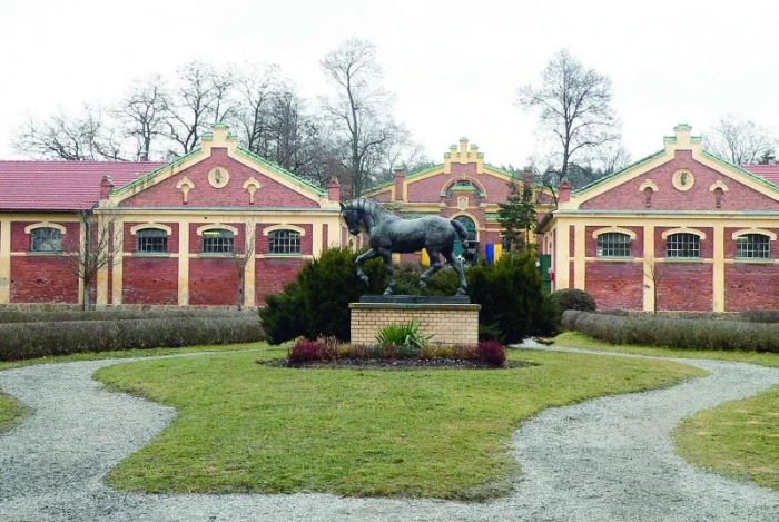Zemský hřebčinec Písek – krása a tradice