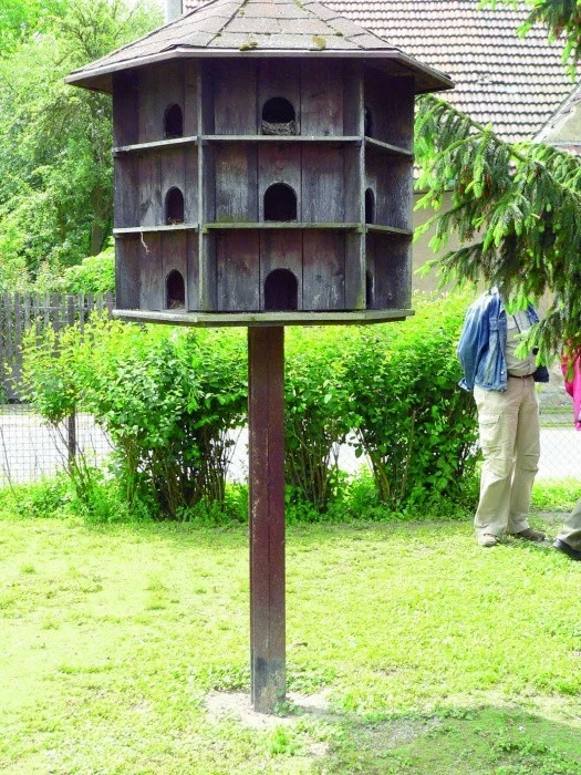 Holubníky