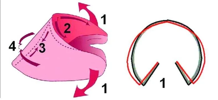 Bez kopyt není koně: 5.díl - Kopytní mechanismus