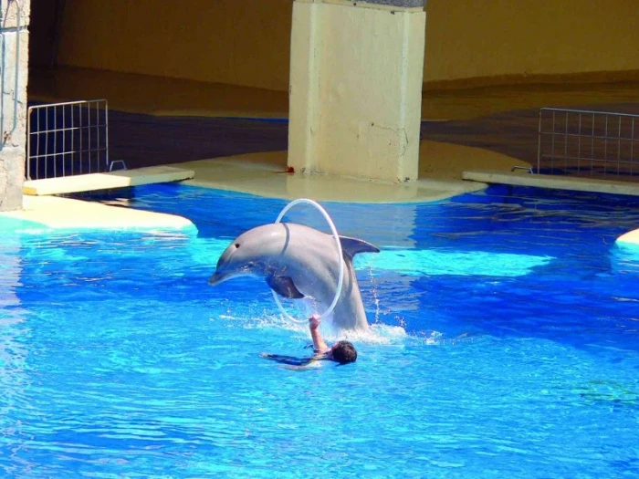 ZOO Aquarium Madrid