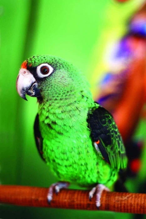 Příroda pro přírodu II